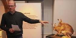 Sex im Tierreich: Flotte Bienen, tolle Hechte