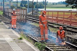 Bald mehr Schnellzüge